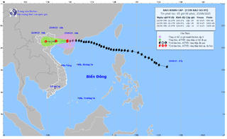 Bão số 9 giật cấp 11, cách Móng Cái khoảng 120km