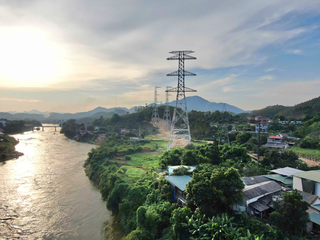 Xử phạt Công ty Cổ phần Thái Bình Dương hơn 137 triệu đồng vì phá rừng tự nhiên