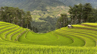 Liên kết để du lịch Tây Bắc vươn xa