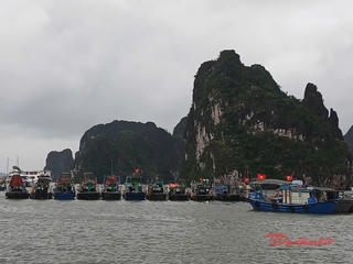 Quảng Ninh khẩn trương ứng phó bão số 10 (Bualoi)