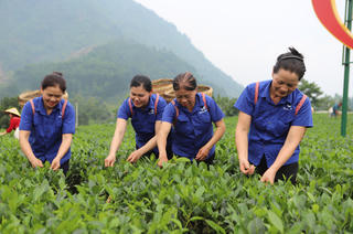 Phụ nữ chung tay vì hành trình thoát nghèo bền vững