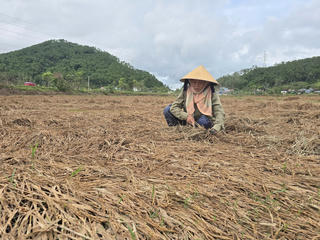 Người dân mất trắng sau bão lũ 