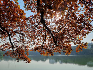 Hà Nội - điểm đến mùa thu