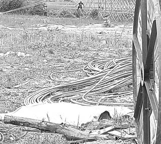 Nguyên nhân khiến hai người thương vong khi thi công đường dây 500kV Lào Cai - Vĩnh Yên