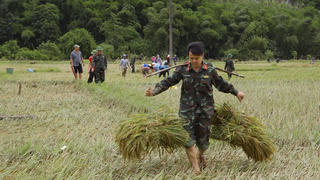 Thanh Hóa: Bộ đội, công an đi gặt, tuốt lúa, sơ tán người dân tránh bão số 10