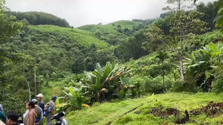 Đà Nẵng: Hơn 60 người vào rừng tìm kiếm người đàn ông mất tích