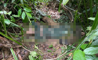Đà Nẵng: Tìm thấy thi thể người đàn ông vào rừng tìm tổ ong