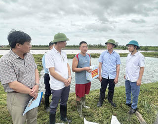 Chủ tịch TP Hải Phòng chỉ đạo khẩn trương khắc phục hậu quả bão và dông lốc 