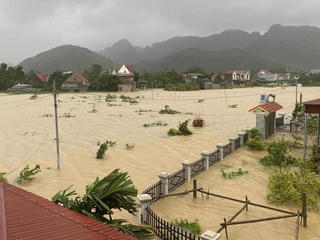 Thanh Hóa: Nhiều địa phương bị ngập sâu, cây xanh gãy đổ ngổn ngang