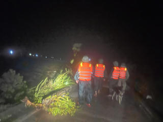 Quảng Trị: Hai tàu cá đứt neo do bão, 9 ngư dân mất tích