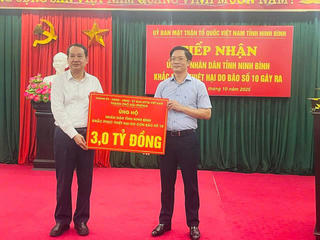 Hải Phòng: Hỗ trợ 6 tỉnh, thành khắc phục thiệt hại sau bão số 10