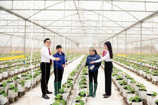 Agribank đẩy mạnh sắp xếp tổ chức mạng lưới theo hướng tăng cường dư địa cho phát triển "tam nông"