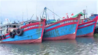 Quảng Ngãi: Xử phạt 7 tàu cá vi phạm với số tiền gần 2 tỷ đồng 