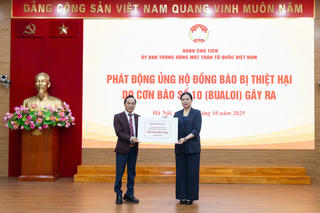 Các mức hỗ trợ cụ thể đối với việc khắc phục thiệt hại của bão số 10