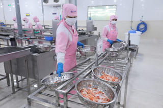 Xuất khẩu thủy sản cuối năm: Nhận diện thách thức