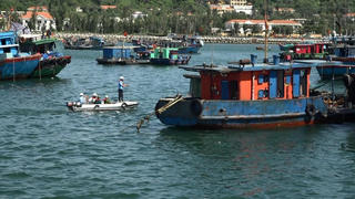 Hải Phòng: Huy động hơn 1.100 người thực hiện tuần tra khu vực đê điều