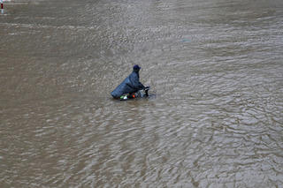 Nhiều tổ chức quốc tế hỗ trợ Việt Nam khắc phục hậu quả thiên tai