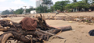 Sầm Sơn: Ngổn ngang và ngập trong rác sau bão
