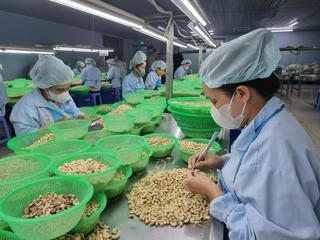 Chủ động để hàng Việt vươn xa