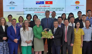 Việt Nam xuất khẩu bưởi sang Australia