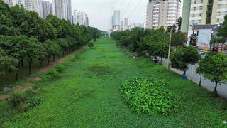 TP Hồ Chí Minh cải tạo công trình trọng điểm rạch Đá Đỏ nhằm chào mừng Đại hội Đảng bộ thành phố lần thứ I