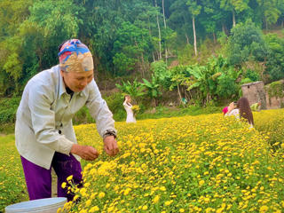 Phong Quang: Tạo sinh kế, nâng cao thu nhập cho người dân