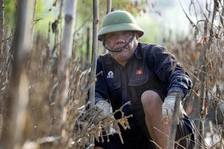 Bão chồng bão, đào Nhật Tân lại chết