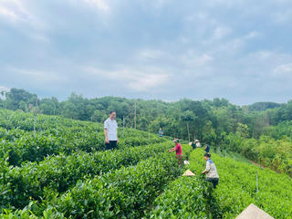 Xóa đói giảm nghèo bền vững ở xã Võ Nhai