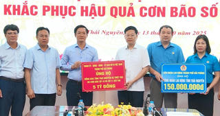 Hải Phòng: Hỗ trợ thêm 14 tỷ đồng giúp các địa phương khắc phục hậu
quả thiên tai