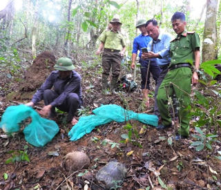 Gia Lai: Thả 4 cá thể động vật rừng quý hiếm về môi trường tự nhiên