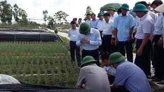 Nông nghiệp đại điền: Nghĩ lớn, làm lớn - Bài cuối: Hành trình không đơn độc
