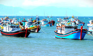 Ngăn chặn tàu cá vi phạm khai thác IUU: Chính thức áp dụng Hệ thống truy xuất nguồn gốc khai thác thủy sản điện tử