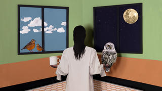 Người thức khuya hay người dậy sớm có lợi thế hơn?