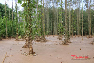 Thái Nguyên: Công bố kết quả xét nghiệm vụ vỡ hồ chứa nhà máy luyện gang