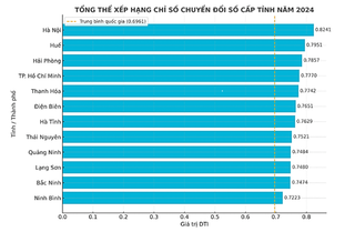 Hải Phòng: Lọt top 3 toàn quốc về Chỉ số Chuyển đổi số cấp tỉnh năm 2024