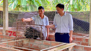 Lan tỏa sức mạnh đoàn kết trong xây dựng nông thôn mới, đô thị văn minh