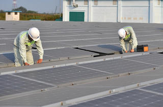 Việc làm xanh và vai trò trụ cột cho tăng trưởng 