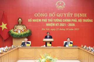 Thủ tướng trao quyết định bổ nhiệm, giao nhiệm vụ cho 2 Phó Thủ tướng, 3 Bộ trưởng