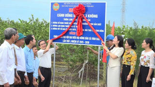 Hải Phòng: Nông dân xã Vĩnh Bảo đẩy mạnh chuyển đổi số trong tiêu thụ nông sản