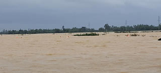 
Đà Nẵng: Lật ghe giữa đồng ngập lũ, một người mất tích 
