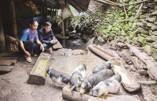 Đổi thay nhờ thực hiện tốt các hoạt động giám sát