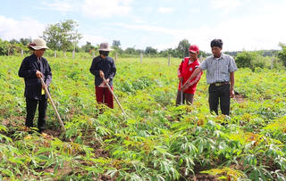 Gia Lai: Hiệu quả giám sát trong đào tạo nghề cho đồng bào dân tộc thiểu số 
