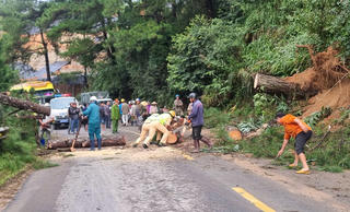 CSGT Lâm Đồng dầm mưa giúp dân, khơi thông đường sá, ứng phó mưa bão đảm bảo an toàn giao thông