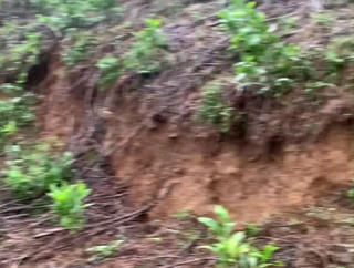 Huế: Xuất hiện vết nứt dài trên đỉnh đồi, di dời nhiều hộ dân