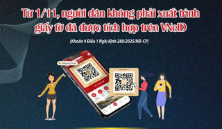 Infographics: Người dân không còn phải xuất trình giấy tờ đã được tích hợp trên VNeID