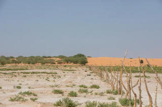 Đất nông nghiệp thoái hóa, cạn nước tưới