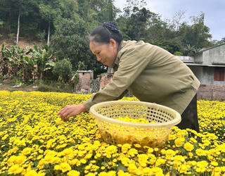 Phong Quang (Thái Nguyên): Tăng cơ hội tiếp cận thông tin – mở lối thoát nghèo cho đồng bào dân tộc thiểu số