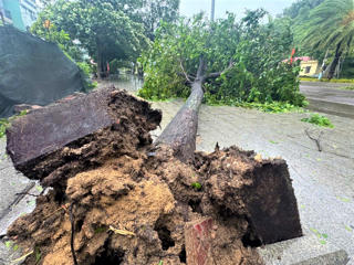 Gia Lai cấm người dân, phương tiện ra đường từ 17h ngày 6/11