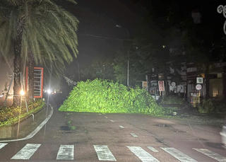 Gia Lai: Cây ngã, nhà tốc mái khi bão số 13 áp sát đất liền