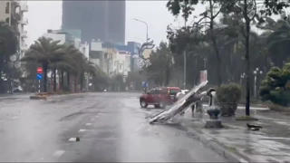 Bão số 13: Đặc khu Lý Sơn gió cấp 10, Gia Lai cây cối ngã đổ